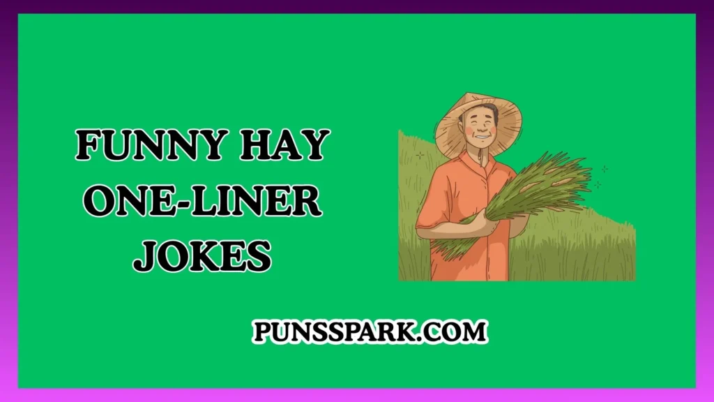 Funny Hay One-Liner Jokes – Short & Funny Hay Jokes