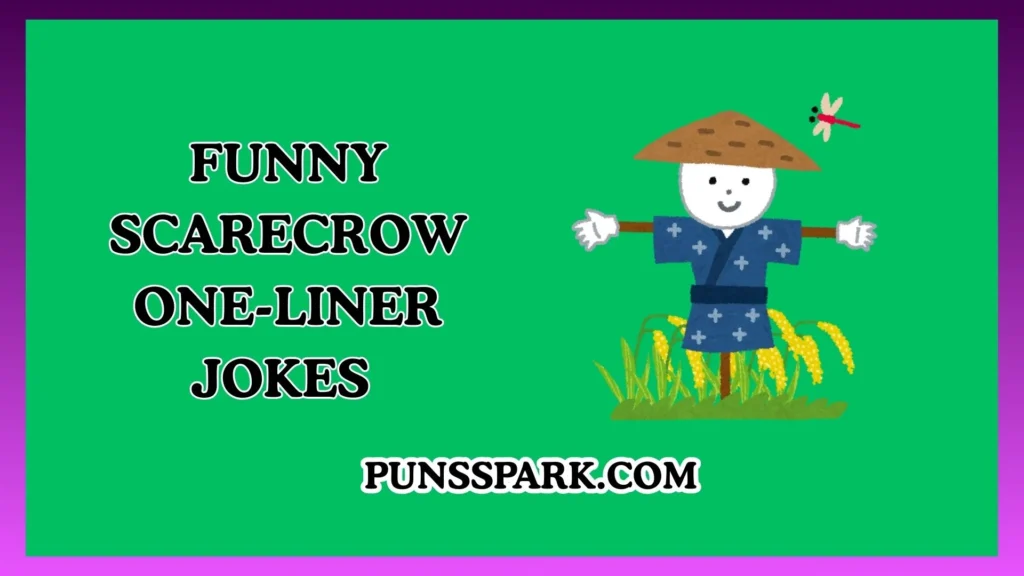 Funny Scarecrow One-Liner Jokes – Short & Funny Scarecrow Jokes