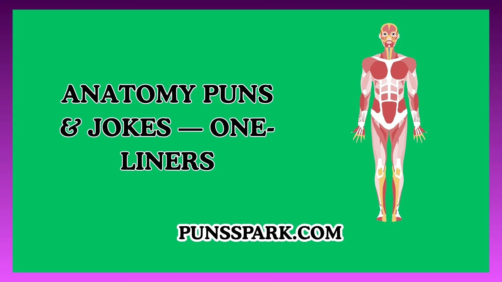 Anatomy Puns & Jokes — One-Liners