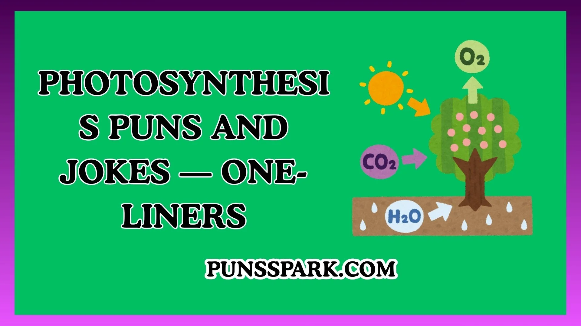 Photosynthesis Puns and Jokes — One-Liners