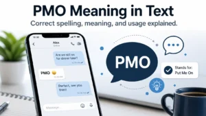 PMO Meaning in Text